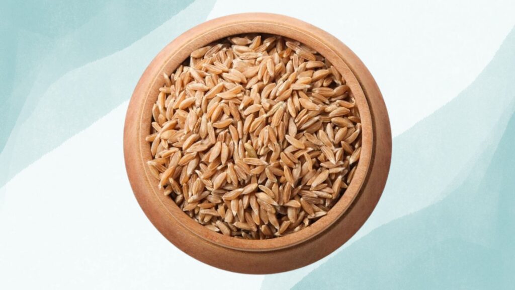 khapli wheat vs normal wheat