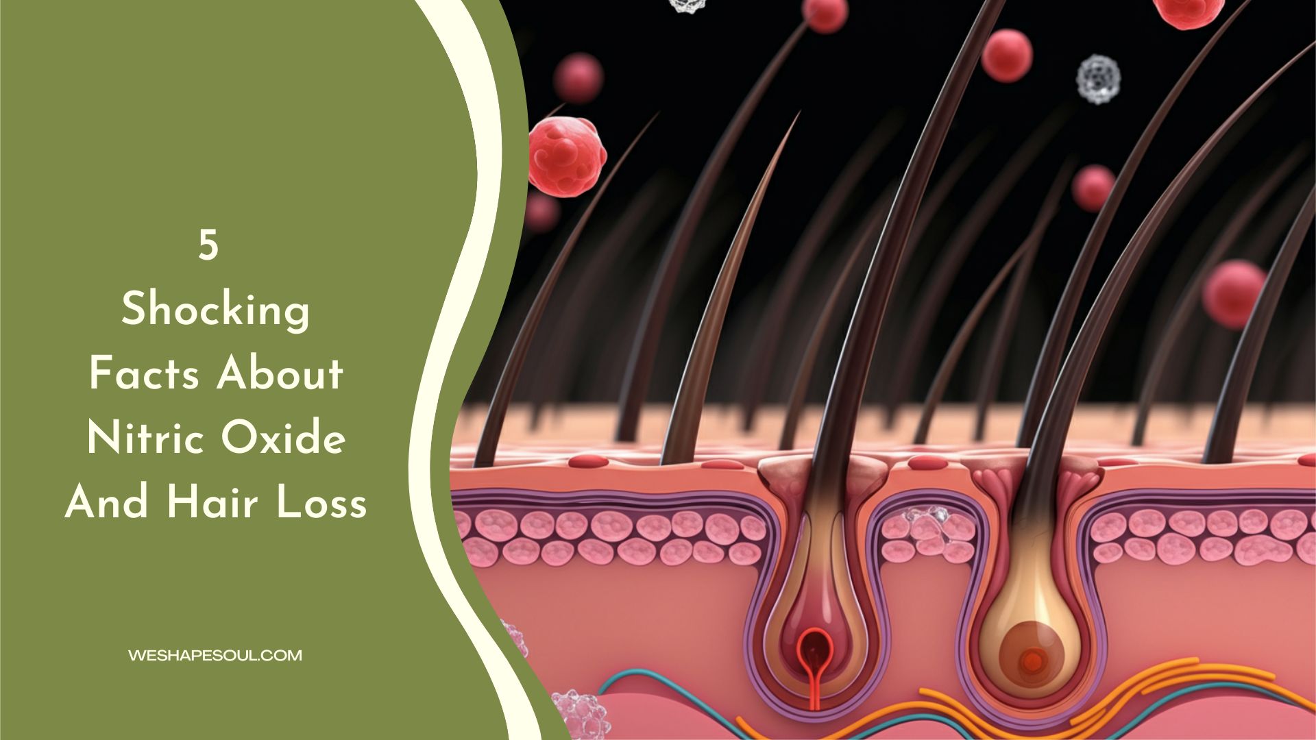does nitric oxide help with hair loss-weshapesoul
